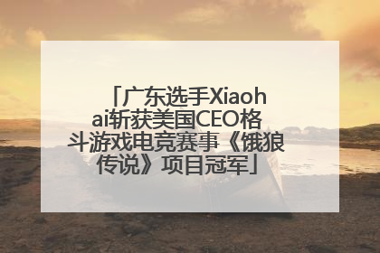 广东选手Xiaohai斩获美国CEO格斗游戏电竞赛事《饿狼传说》项目冠军
