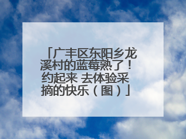 广丰区东阳乡龙溪村的蓝莓熟了！约起来 去体验采摘的快乐（图）