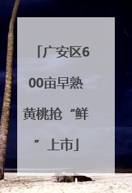 广安区600亩早熟黄桃抢“鲜”上市