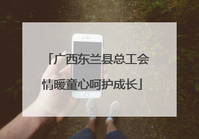 广西东兰县总工会情暖童心呵护成长