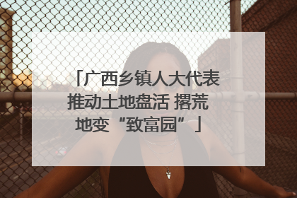 广西乡镇人大代表推动土地盘活 撂荒地变“致富园”