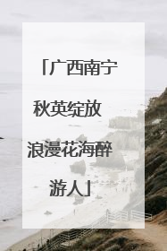 广西南宁秋英绽放 浪漫花海醉游人