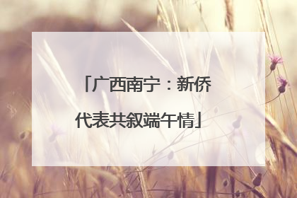 广西南宁：新侨代表共叙端午情