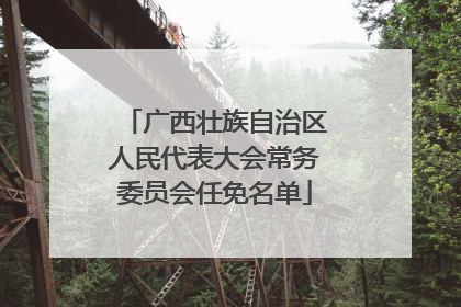 广西壮族自治区人民代表大会常务委员会任免名单