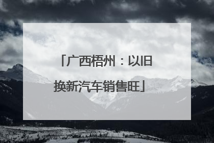 广西梧州：以旧换新汽车销售旺