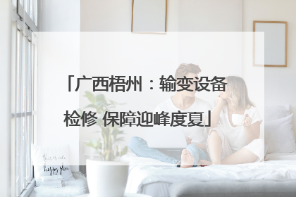 广西梧州：输变设备检修 保障迎峰度夏
