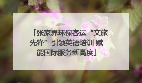 张家界环保客运“文旅先锋”引领英语培训 赋能国际服务新高度