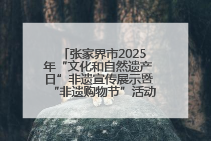张家界市2025年“文化和自然遗产日”非遗宣传展示暨“非遗购物节”活动在慈利县盛大启幕