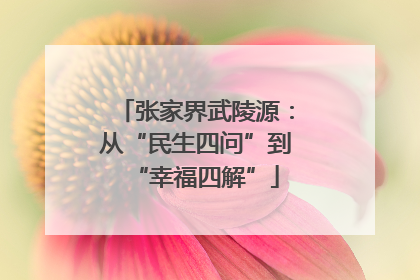 张家界武陵源：从“民生四问”到“幸福四解”