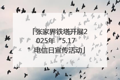张家界铁塔开展2025年“5.17”电信日宣传活动