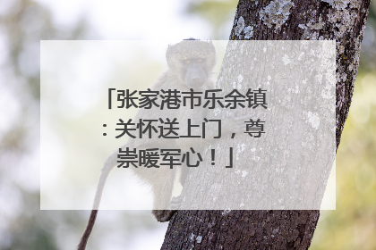 张家港市乐余镇：关怀送上门，尊崇暖军心！
