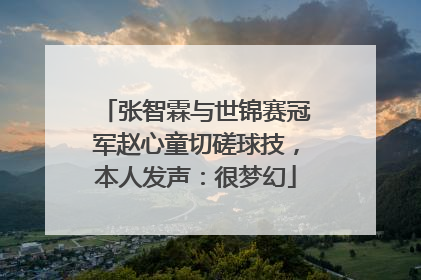 张智霖与世锦赛冠军赵心童切磋球技，本人发声：很梦幻