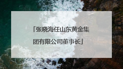 张晓海任山东黄金集团有限公司董事长