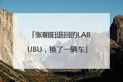 张朝阳退回的LABUBU，换了一辆车