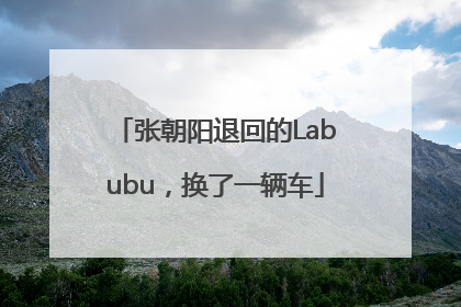 张朝阳退回的Labubu，换了一辆车