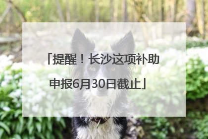 提醒！长沙这项补助申报6月30日截止