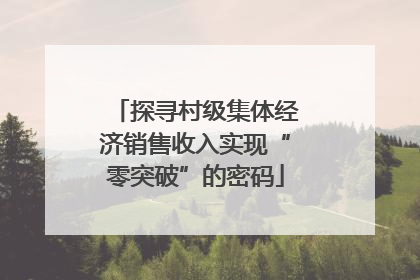 探寻村级集体经济销售收入实现“零突破”的密码