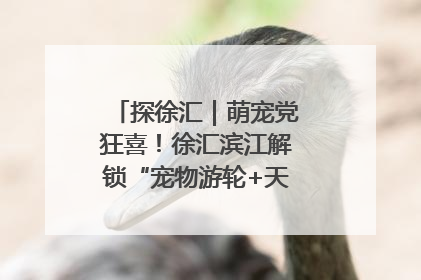 探徐汇｜萌宠党狂喜！徐汇滨江解锁“宠物游轮+天台乐园”双玩法