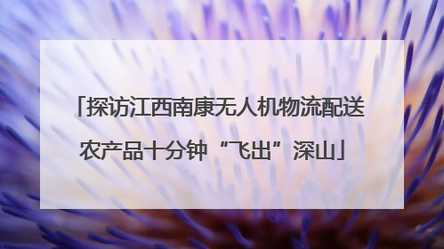 探访江西南康无人机物流配送 农产品十分钟“飞出”深山