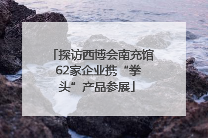探访西博会南充馆 62家企业携“拳头”产品参展