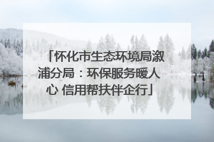 怀化市生态环境局溆浦分局：环保服务暖人心 信用帮扶伴企行