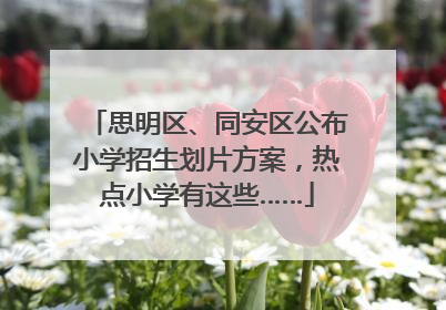 思明区、同安区公布小学招生划片方案，热点小学有这些……
