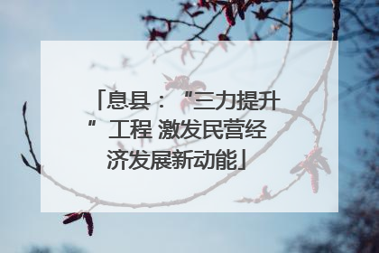 息县：“三力提升”工程 激发民营经济发展新动能