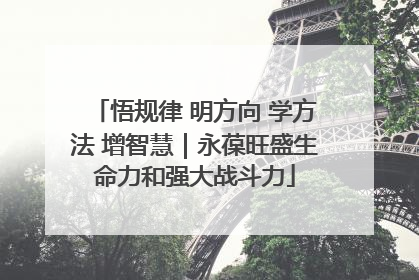 悟规律 明方向 学方法 增智慧｜永葆旺盛生命力和强大战斗力