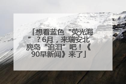 想看蓝色“荧光海”？6月，来瑞安北麂岛“追泪”吧！《90早新闻》来了