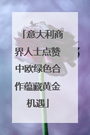 意大利商界人士点赞中欧绿色合作蕴藏黄金机遇