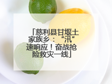 慈利县甘堰土家族乡：“汛”速响应！奋战抢险救灾一线