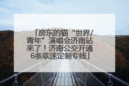 房东的猫“世界/青年”演唱会济南站来了！济南公交开通6条歌迷定制专线