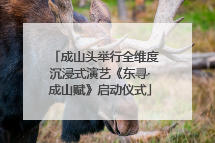 成山头举行全维度沉浸式演艺《东寻·成山赋》启动仪式