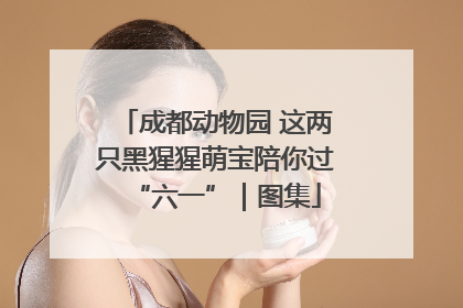 成都动物园 这两只黑猩猩萌宝陪你过“六一”｜图集