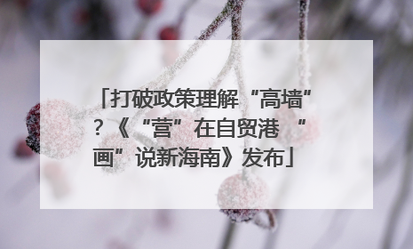 打破政策理解“高墙”？《“营”在自贸港 “画”说新海南》发布