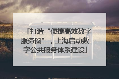打造“便捷高效数字服务圈”，上海启动数字公共服务体系建设