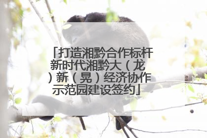 打造湘黔合作标杆 新时代湘黔大（龙）新（晃）经济协作示范园建设签约