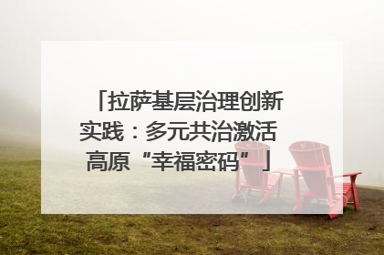 拉萨基层治理创新实践：多元共治激活高原“幸福密码”