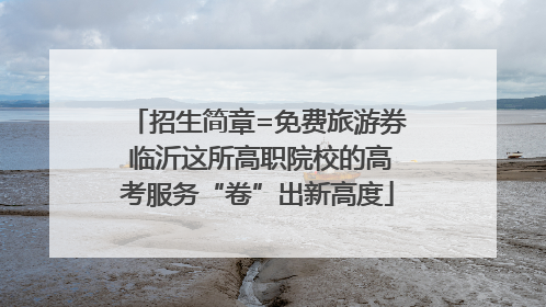 招生简章=免费旅游券 临沂这所高职院校的高考服务“卷”出新高度