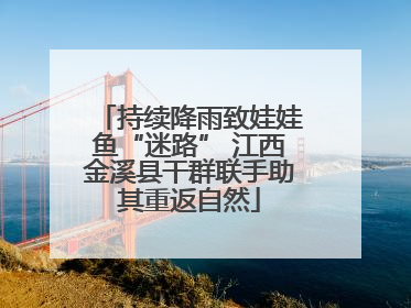 持续降雨致娃娃鱼“迷路” 江西金溪县干群联手助其重返自然
