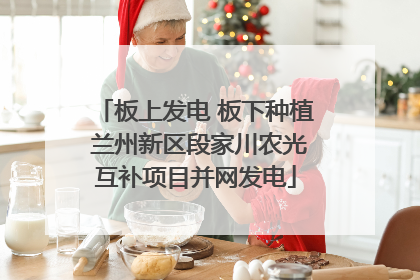 板上发电 板下种植 兰州新区段家川农光互补项目并网发电