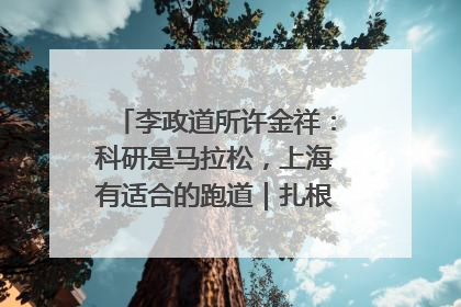 李政道所许金祥：科研是马拉松，上海有适合的跑道｜扎根上海，从0到1