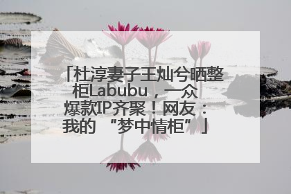 杜淳妻子王灿兮晒整柜Labubu，一众爆款IP齐聚！网友：我的 “梦中情柜”