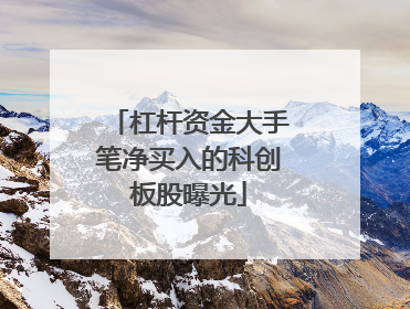 杠杆资金大手笔净买入的科创板股曝光