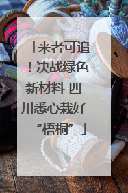 来者可追！决战绿色新材料 四川悉心栽好“梧桐”