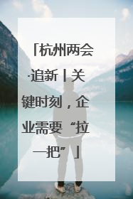 杭州两会·追新丨关键时刻，企业需要“拉一把”
