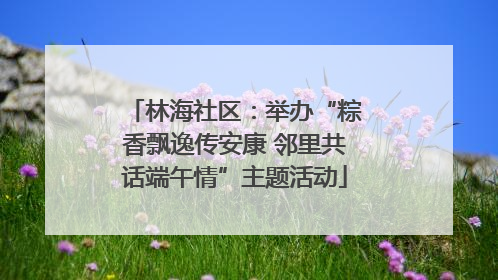 林海社区：举办“粽香飘逸传安康 邻里共话端午情”主题活动