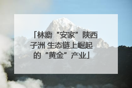 林麝“安家”陕西子洲 生态链上崛起的“黄金”产业