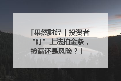 果然财经｜投资者“盯”上法拍金条，捡漏还是风险？