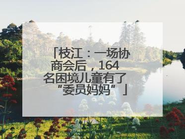 枝江：一场协商会后，164名困境儿童有了“委员妈妈”